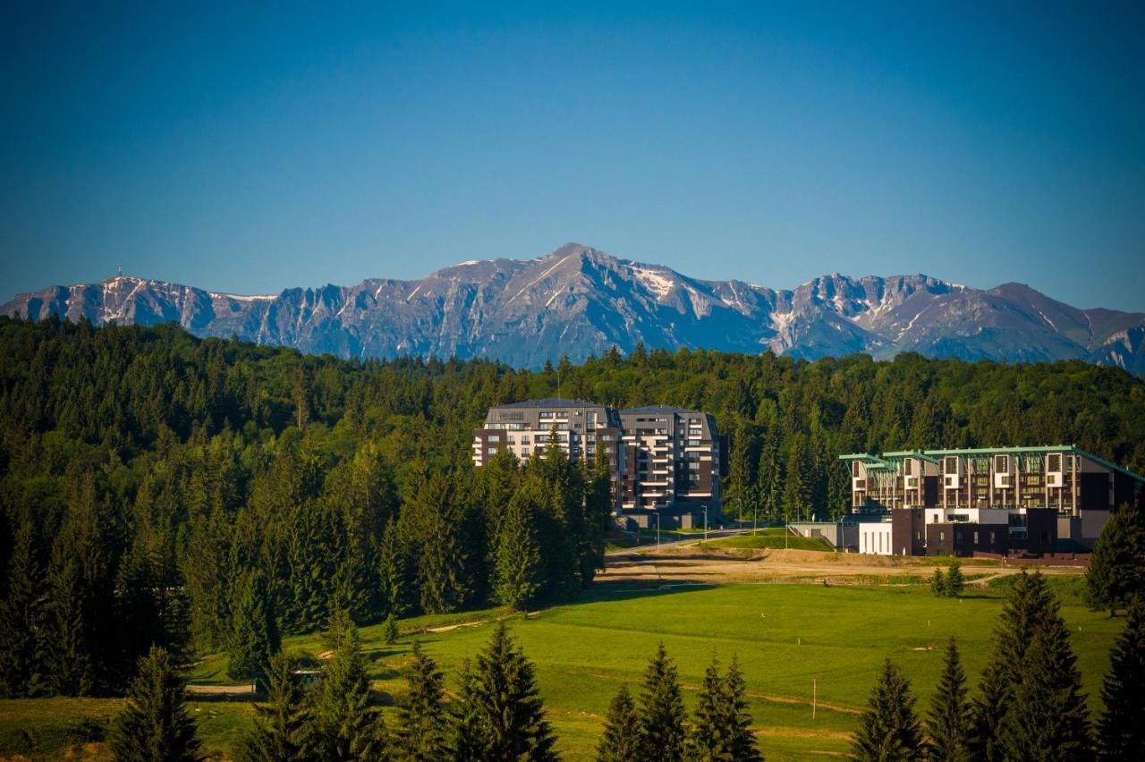 Silver Mountain B21 Pine Woods Poiana Brasov Exteriör bild